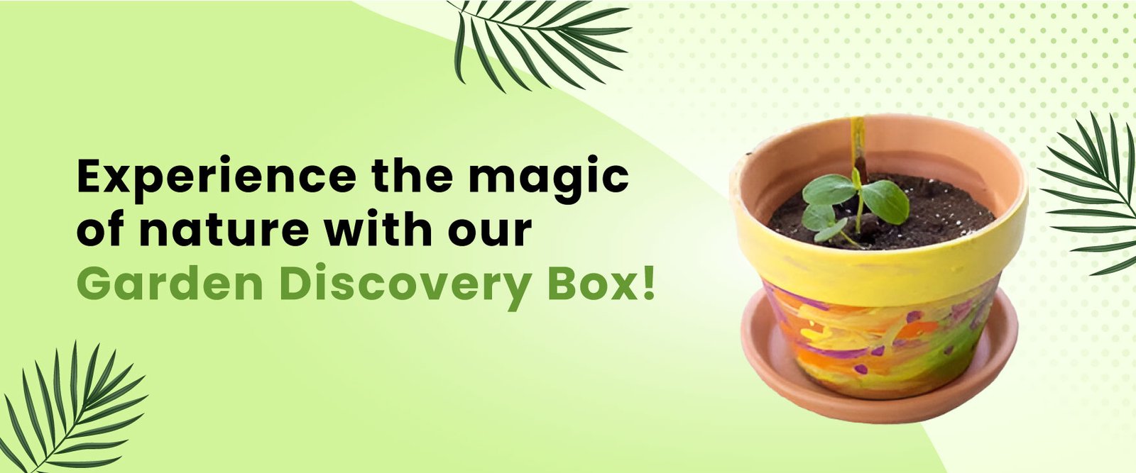 Garden Discover Box